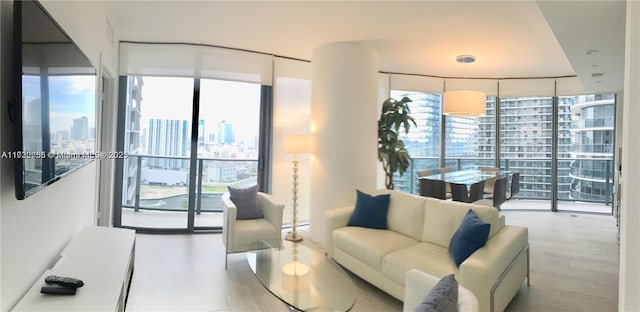 living room with a wall of windows and light wood-type flooring