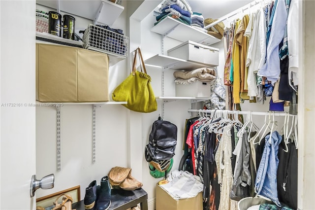 view of spacious closet