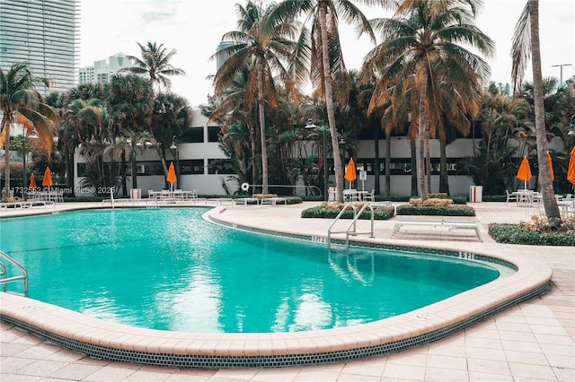 view of pool featuring a patio