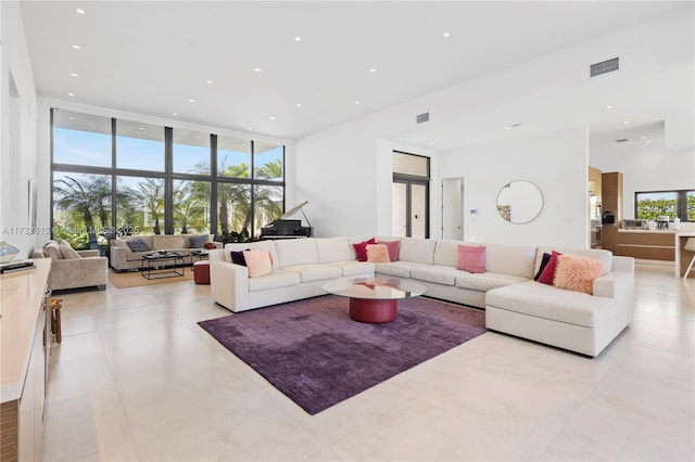 living room featuring expansive windows