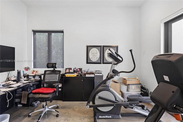 home office featuring wood-type flooring