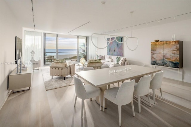 dining area with a wall of windows and light hardwood / wood-style flooring