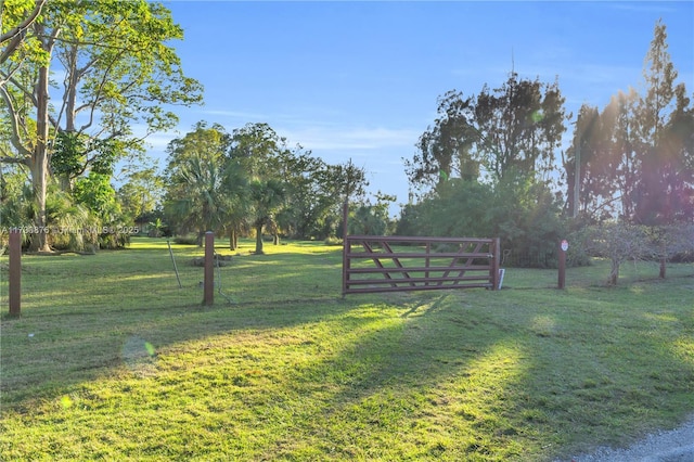 view of yard