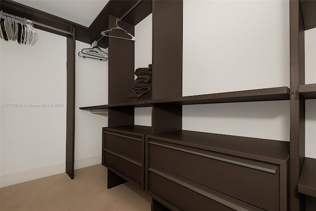 view of spacious closet