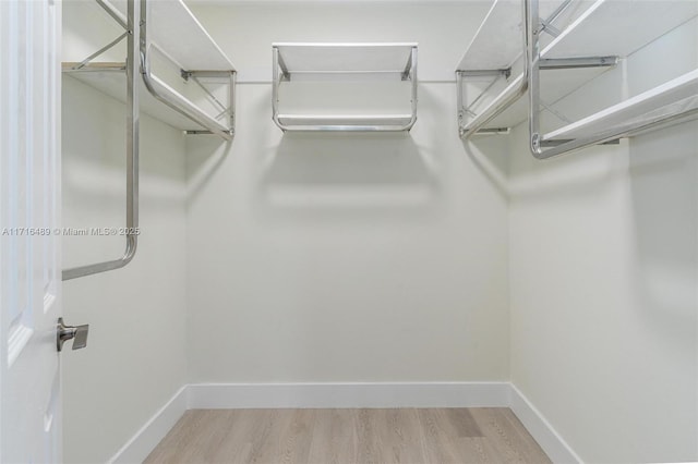 walk in closet featuring light wood finished floors