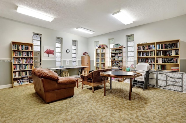 sitting room featuring light colored carpet and a textured ceiling