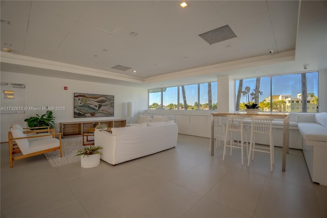 living room featuring a raised ceiling