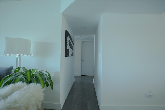 corridor with dark wood-type flooring