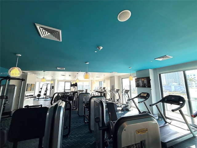 exercise room with carpet