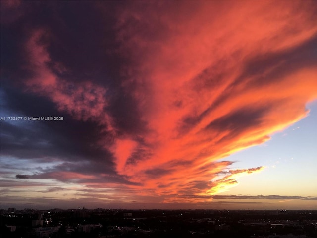 view of nature at dusk