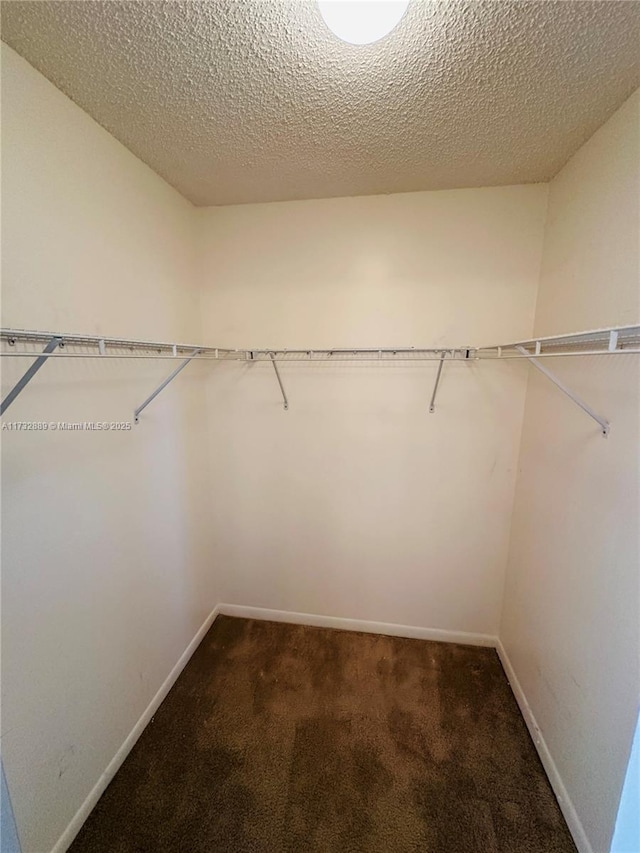 walk in closet with dark colored carpet