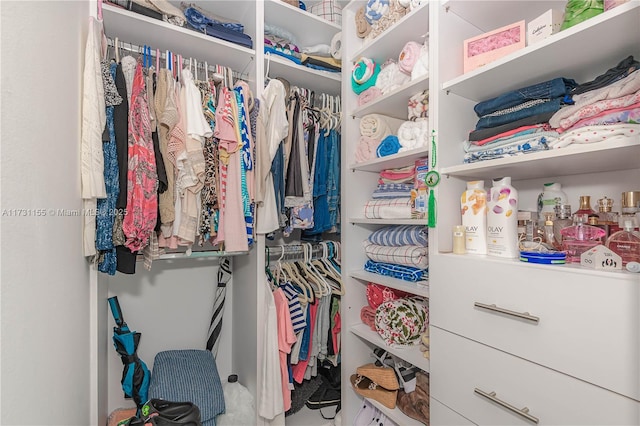 view of spacious closet