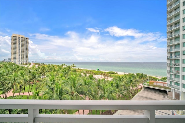 water view featuring a view of the beach