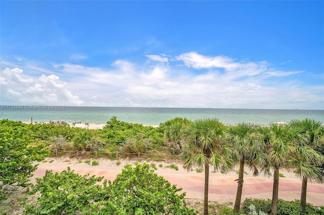 water view featuring a beach view