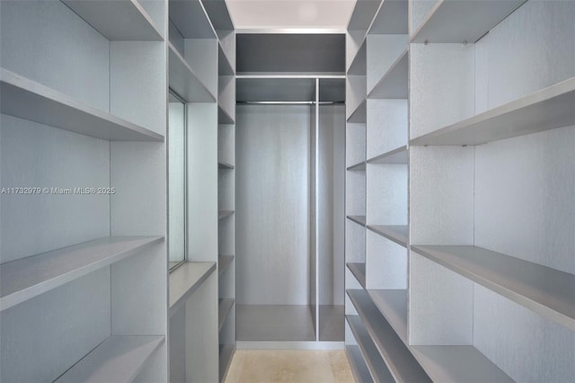 view of walk in closet