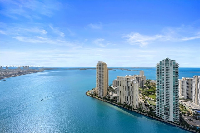 view of water feature with a city view