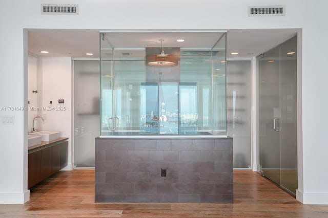 interior space featuring hardwood / wood-style flooring, vanity, and an enclosed shower