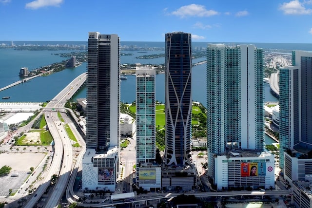 drone / aerial view with a water view