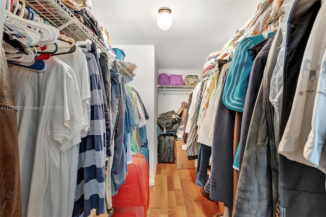 walk in closet with light wood-type flooring