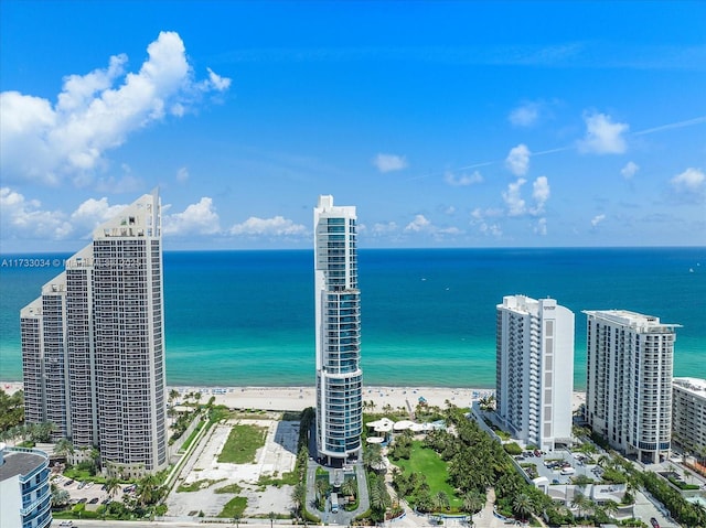 property view of water with a beach view