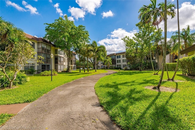 view of community with a lawn