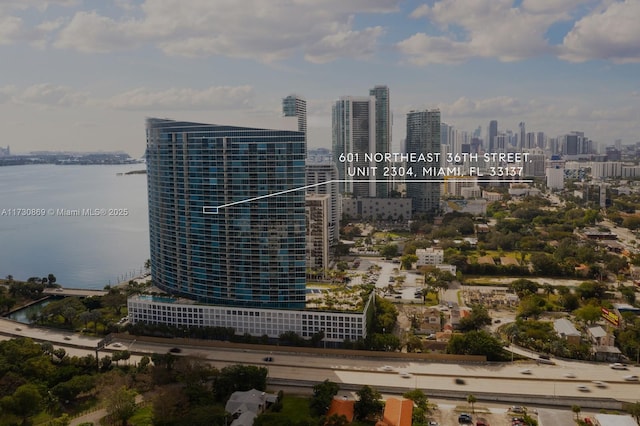 view of city featuring a water view