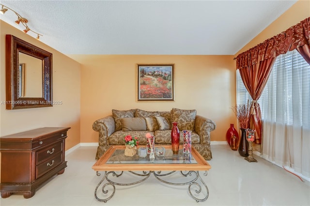 living room with vaulted ceiling