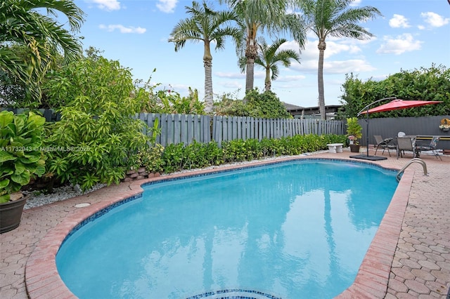 view of swimming pool with a patio area