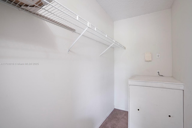 spacious closet featuring carpet floors