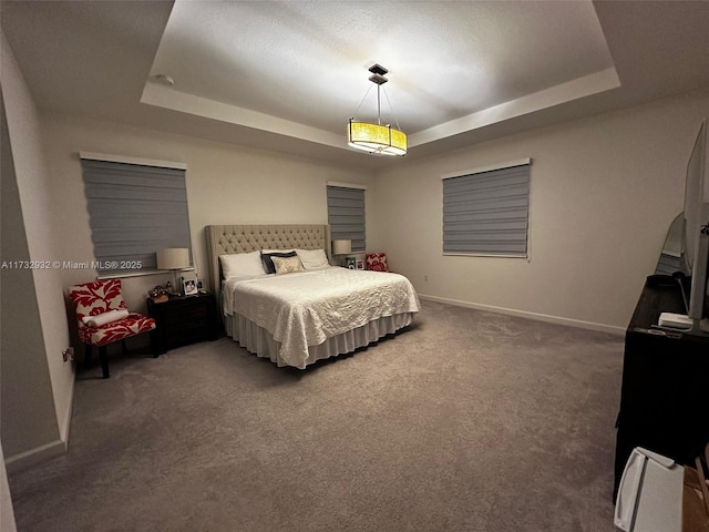 carpeted bedroom featuring a raised ceiling