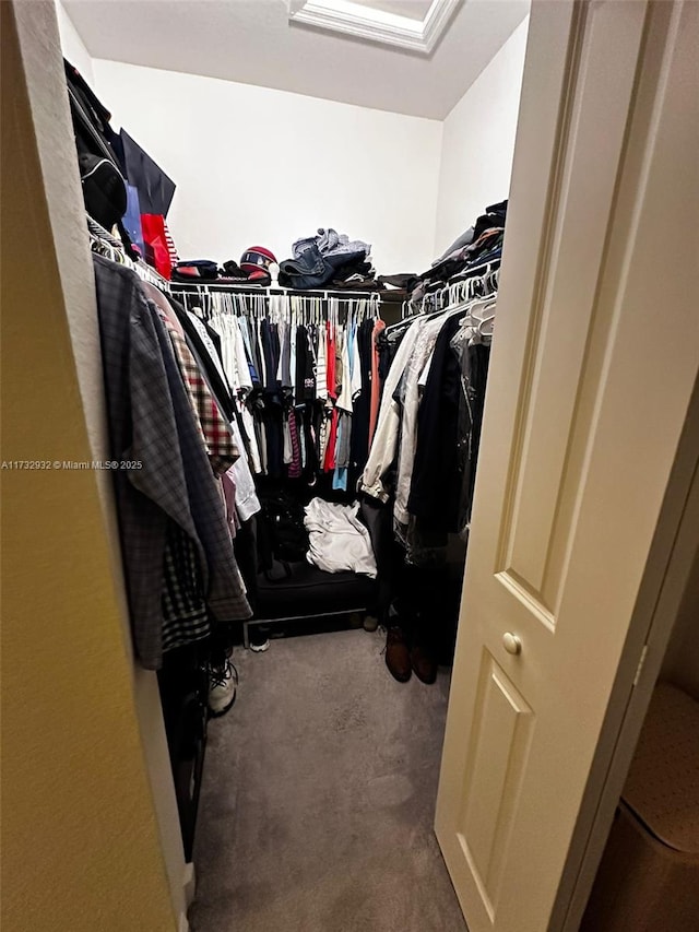 spacious closet featuring carpet floors