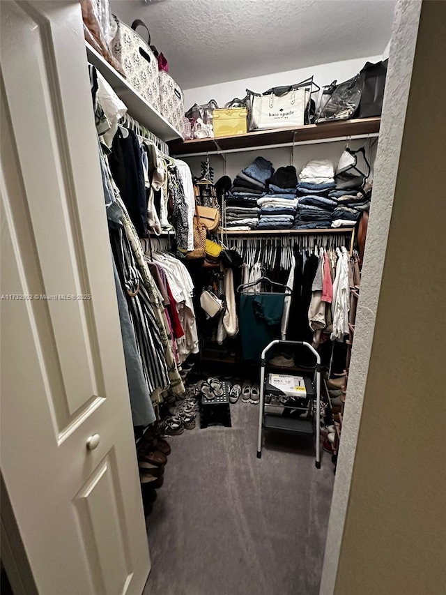 spacious closet featuring carpet floors