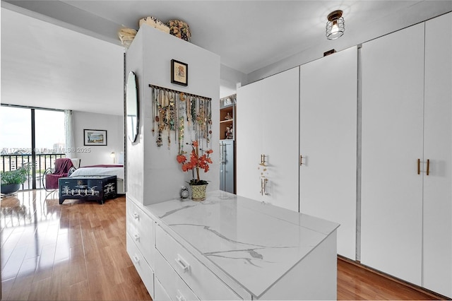 walk in closet featuring light hardwood / wood-style flooring