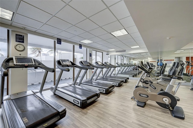 workout area featuring a drop ceiling, light hardwood / wood-style flooring, and expansive windows