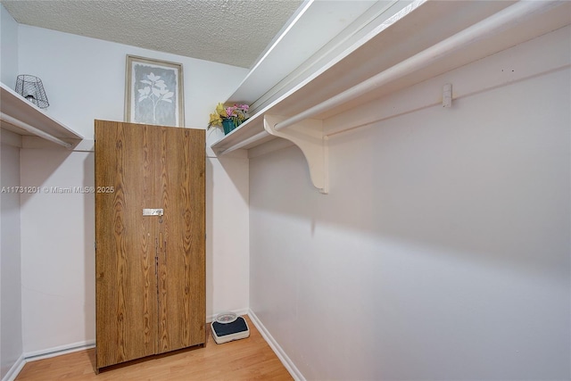 walk in closet with hardwood / wood-style floors