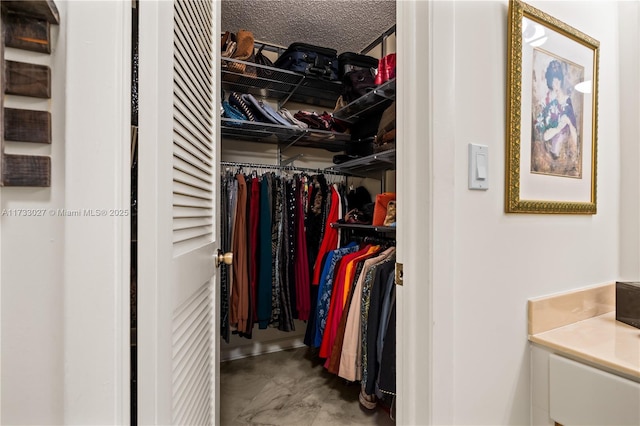 view of walk in closet