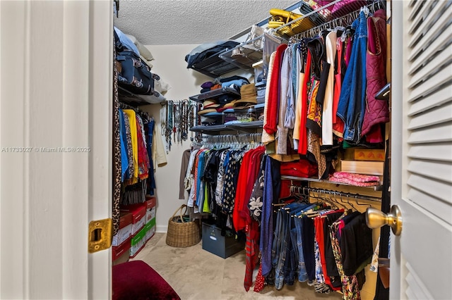 view of spacious closet