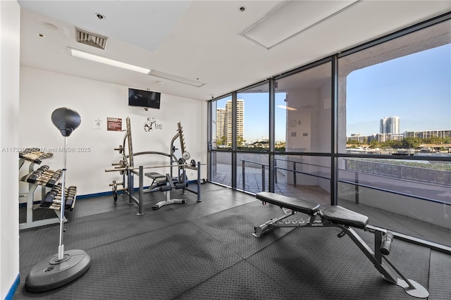 workout area featuring a wall of windows, a wealth of natural light, visible vents, and baseboards