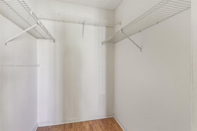 spacious closet with wood-type flooring