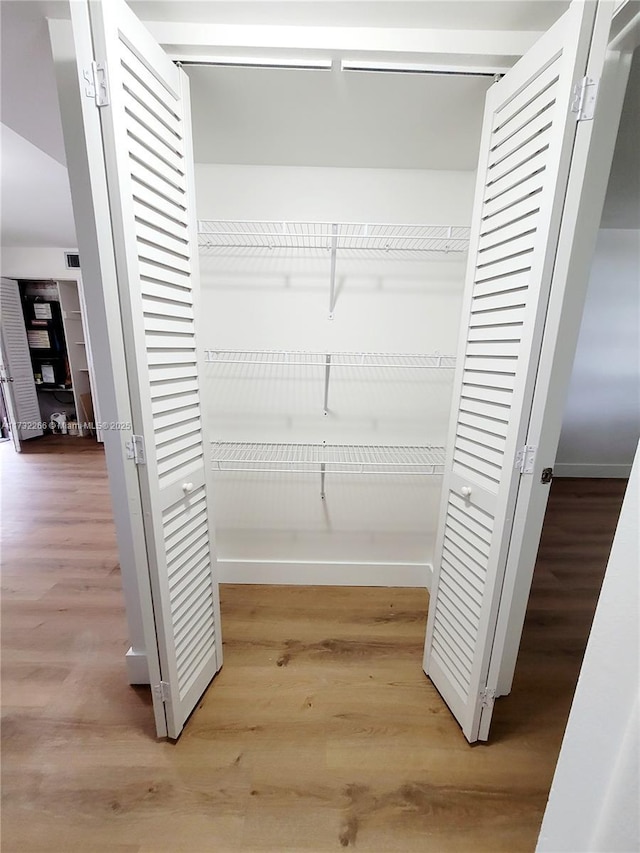 view of closet