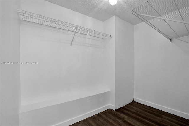 walk in closet featuring dark hardwood / wood-style flooring