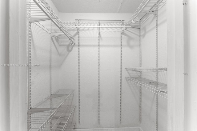 view of spacious closet