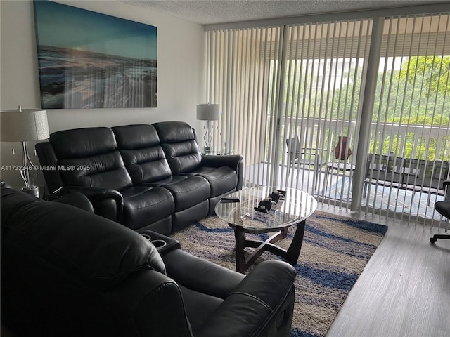 living room with a textured ceiling, a healthy amount of sunlight, and hardwood / wood-style flooring