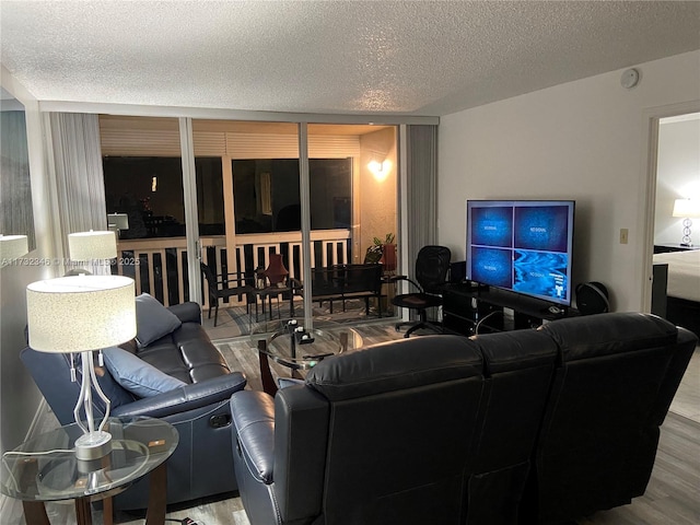 living room with hardwood / wood-style floors and a textured ceiling