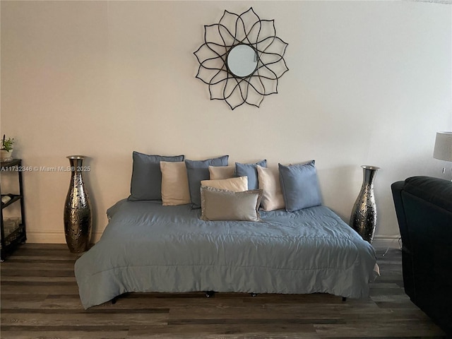 bedroom featuring dark wood-type flooring