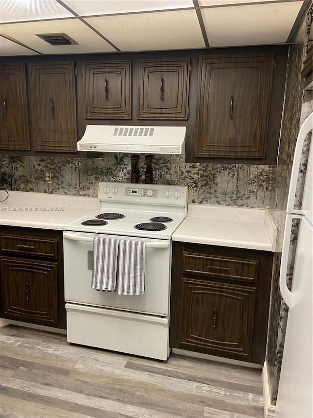 kitchen with light wood-type flooring, electric range, dark brown cabinetry, and range hood