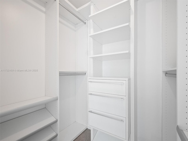 view of walk in closet