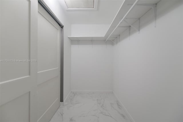 view of walk in closet