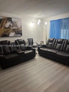 living room featuring wood-type flooring