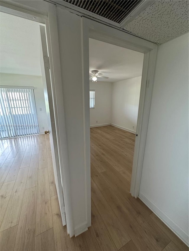 corridor featuring plenty of natural light and light hardwood / wood-style floors